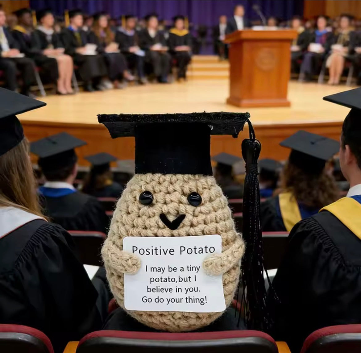 Graduation Positive Potato