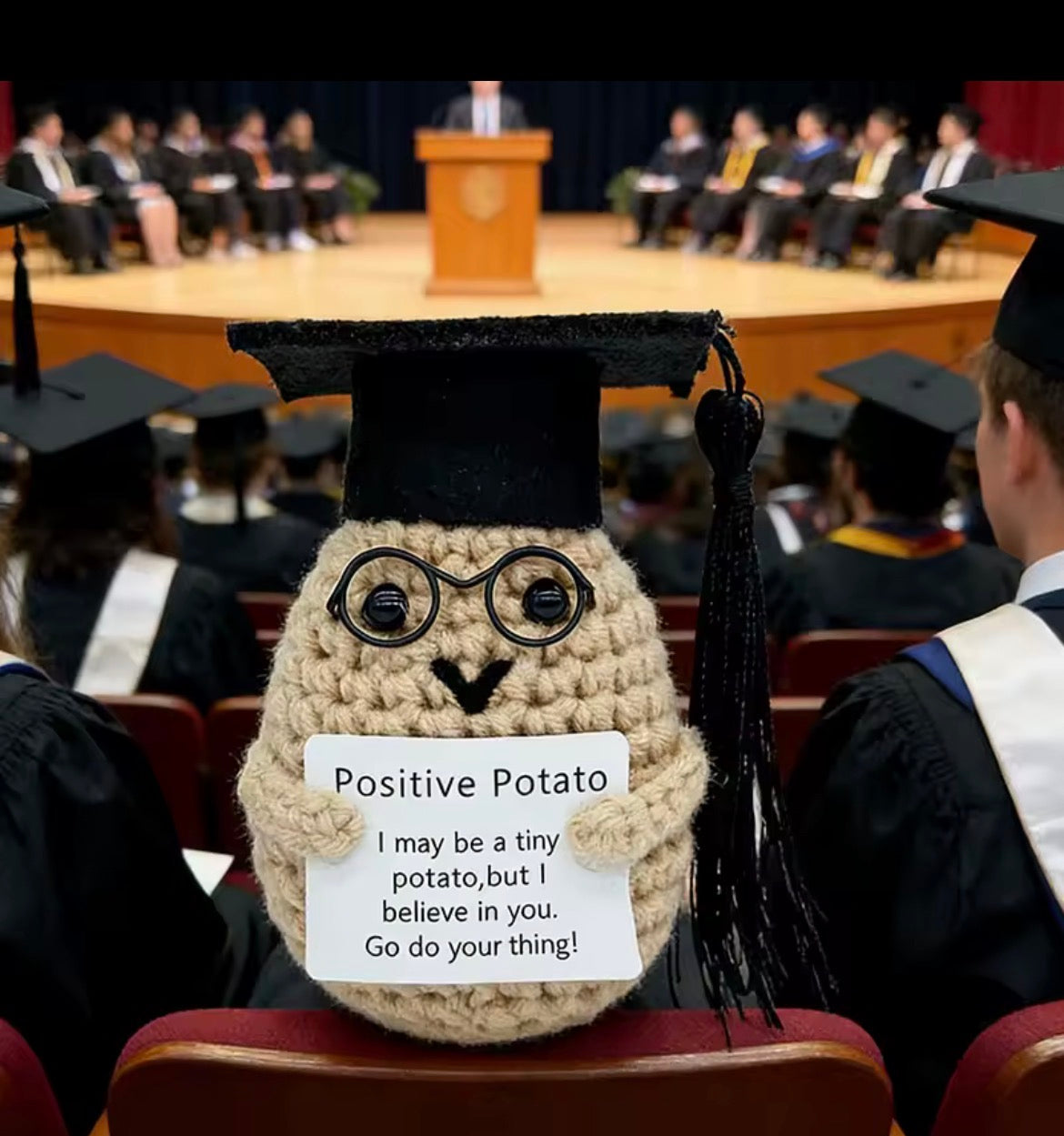 Graduation Positive Potato